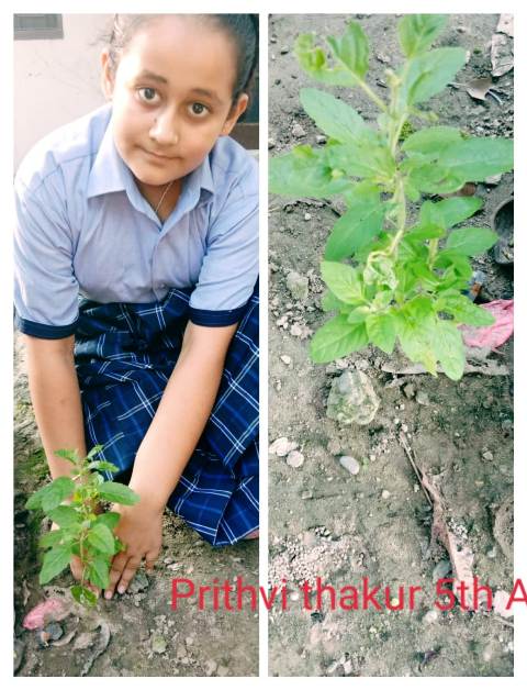 Best School in Hoshiarpur