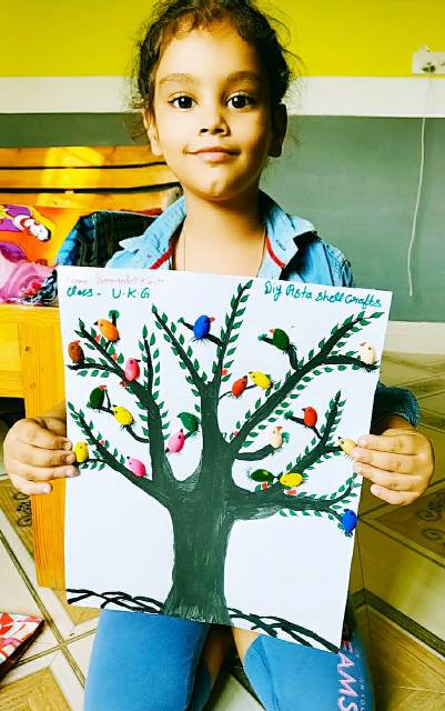 Hoshiarpur CBSE schools