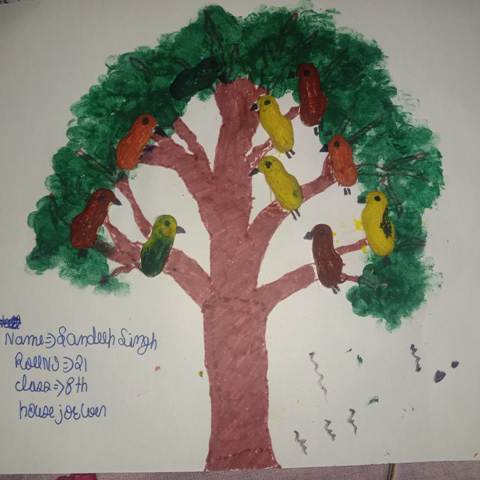 Schools in Hoshiarpur