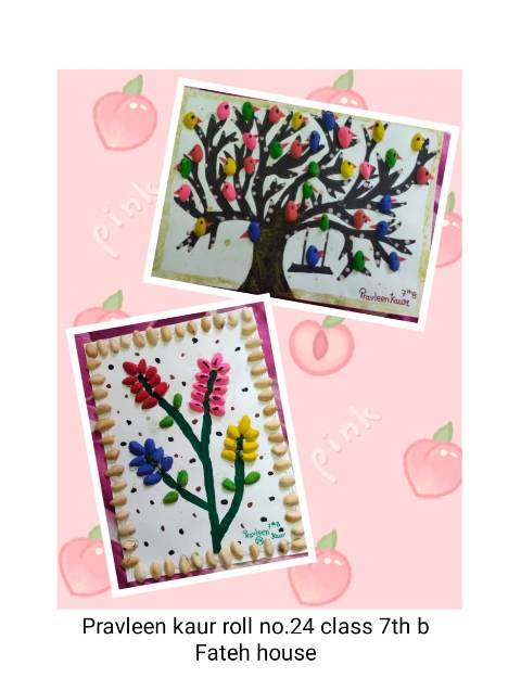 School Activity