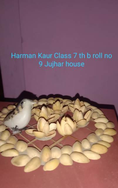 School Activity