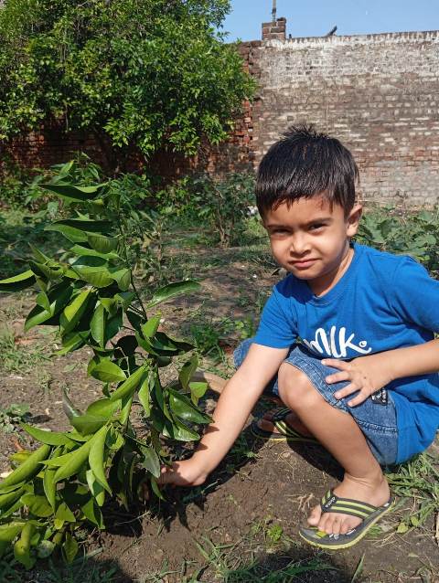 Environment Day Activities